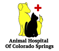 Animal Hospital of Colorado Springs logo